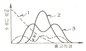 그림